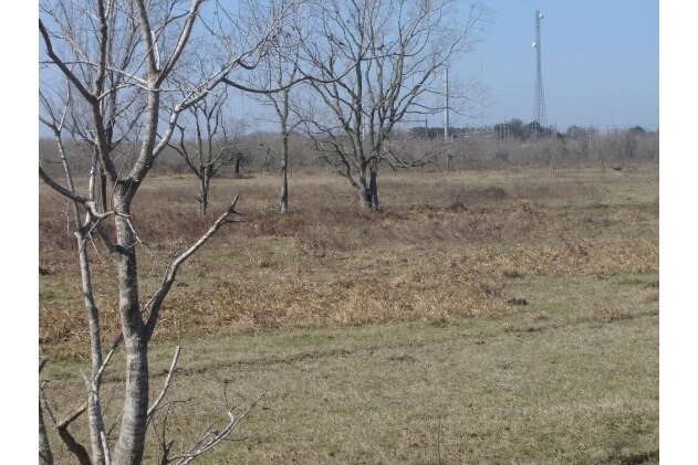 More Photos Of 35625 Owens Rd, Prairie View Land For Sale