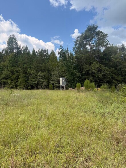 More Photos Of 333 Samuel Dr, Springfield Land For Sale