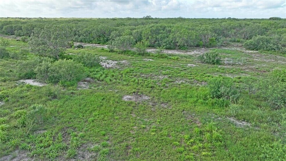 More Photos Of CR 2170, Ricardo Land For Sale