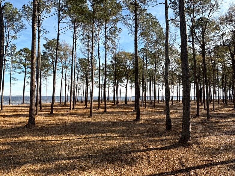 More Photos Of 0 Norfleet Shores Road, Belhaven Land For Sale
