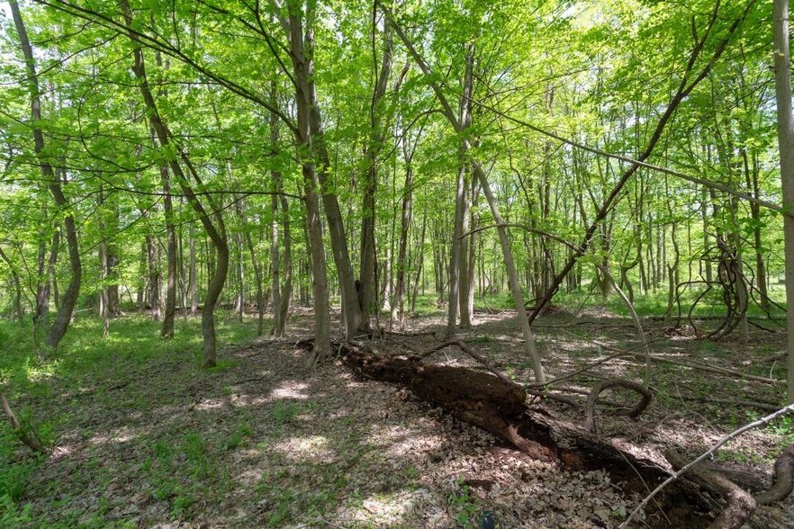More Photos Of 176 Pine Brook Rd, Montville Land For Sale