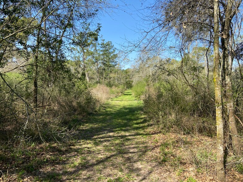 More Photos Of 24030 Hegar Rd, Hockley Land For Sale