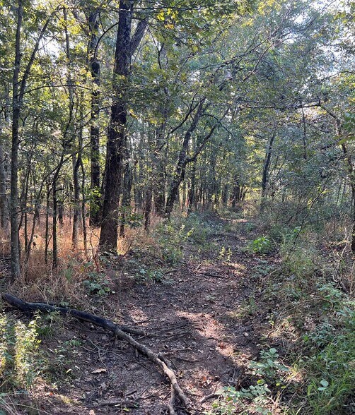 More Photos Of 3306 State Farm Rd, Tucker Land For Sale