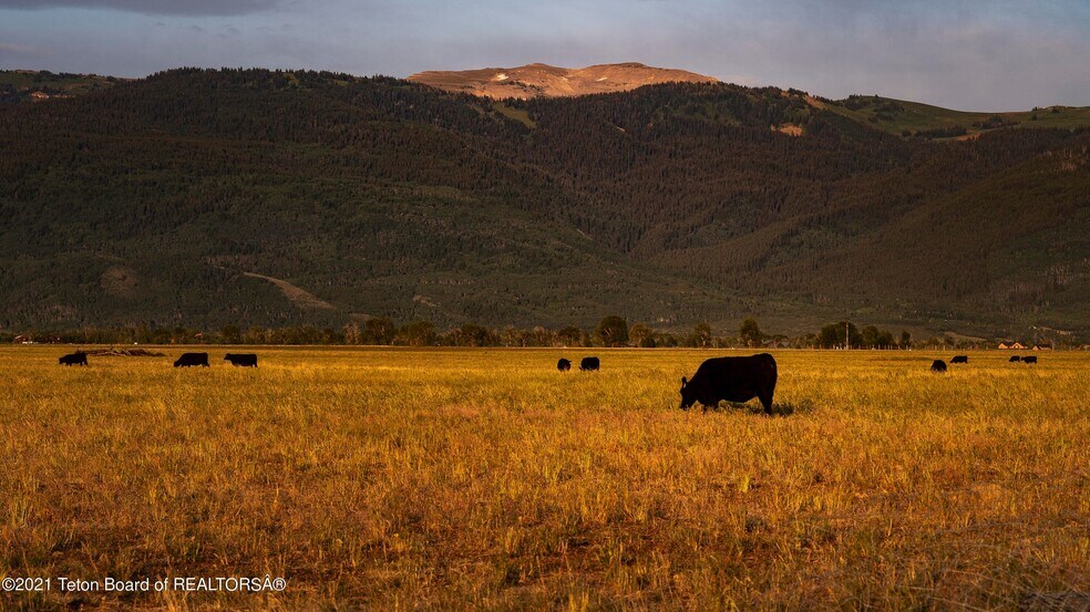 More Photos Of 250 E 1750 N, Driggs Land For Sale