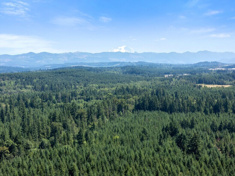 More Photos Of 0 Kiser Rd, Ethel Land For Sale