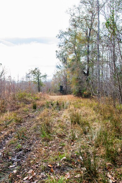 More Photos Of 409 Windward Ave, Orangeburg Land For Sale