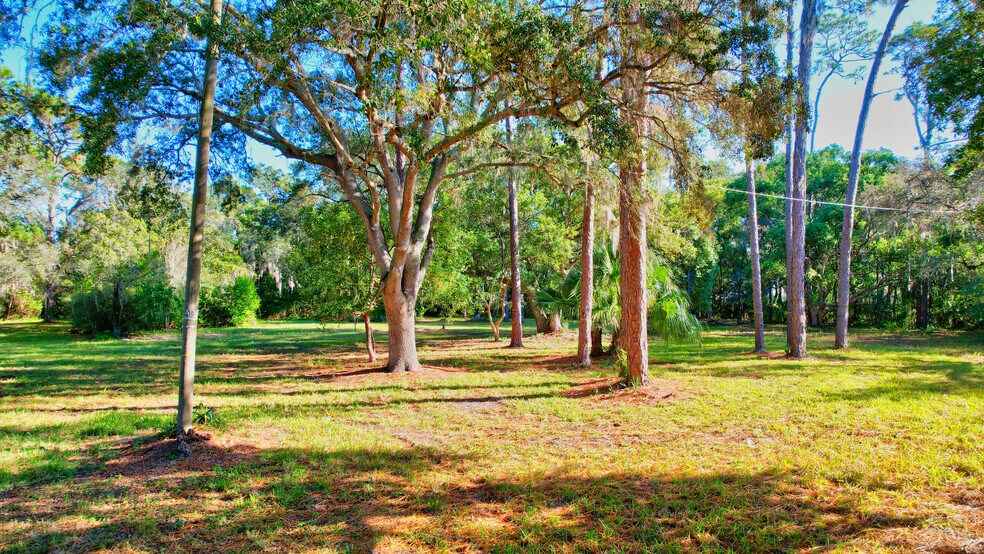 More Photos Of 6501 Gant Rd, Tampa Land For Sale