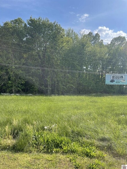 Primary Photo Of Highway 62, Calvert City Land For Sale