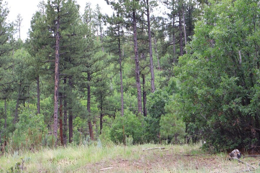 More Photos Of 13 Nottingham Dr, Estancia Land For Sale