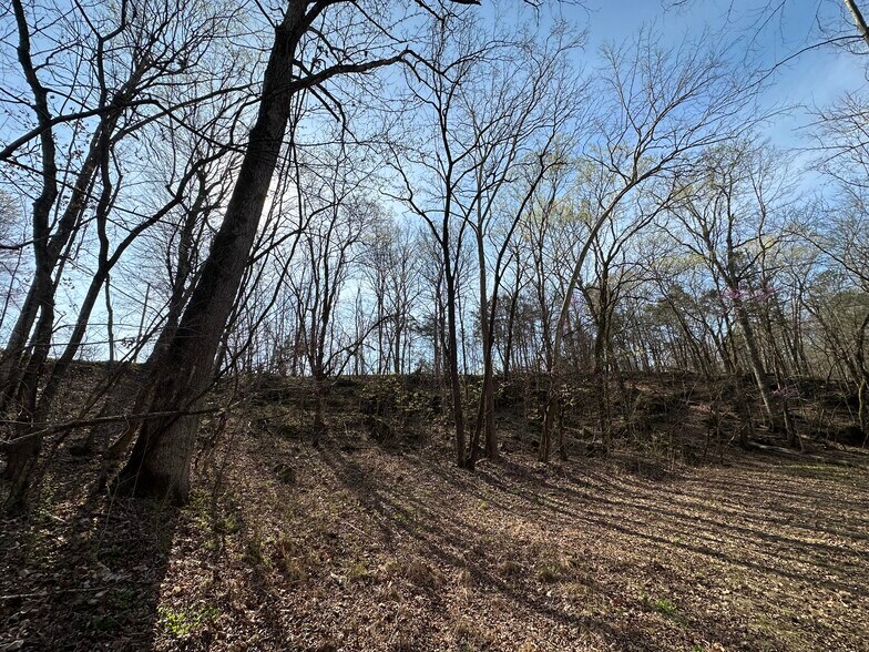 More Photos Of 7312 Highway 60, Georgetown Land For Sale