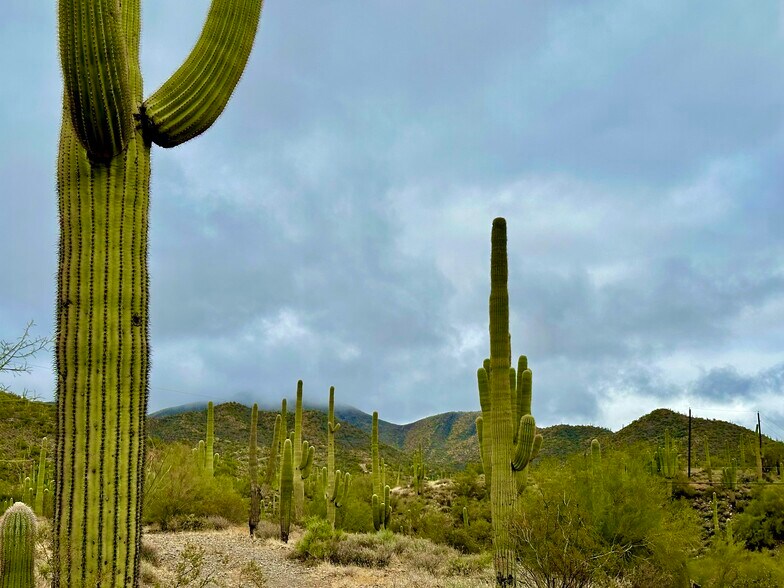 More Photos Of 7XXX Highland Road Rd, Cave Creek Land For Sale