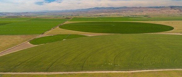More Photos Of Melmont Rd & SH 45, Melba Land For Sale