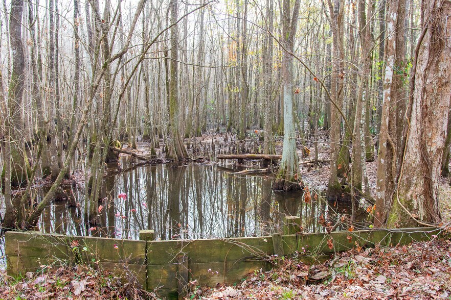 More Photos Of 409 Windward Ave, Orangeburg Land For Sale