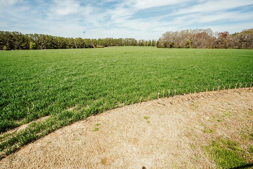 More Photos Of 0 Chesnee Hwy, Gaffney Land For Sale