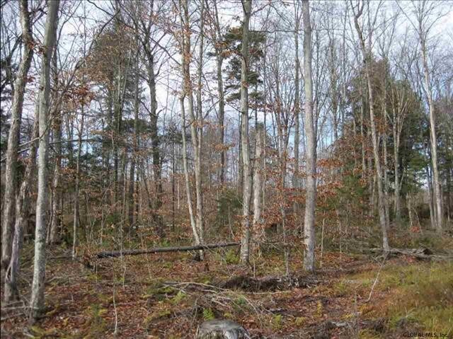 More Photos Of 10279 State Route 30, Malone Land For Sale