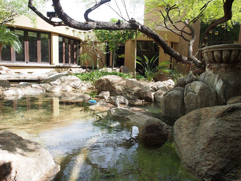 More Photos Of 8700 E Pinnacle Peak Rd, Scottsdale General Retail For Lease