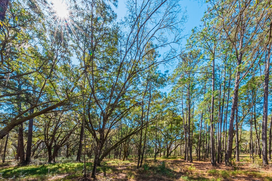More Photos Of 0 King Rail Lane, Edisto Island Land For Sale