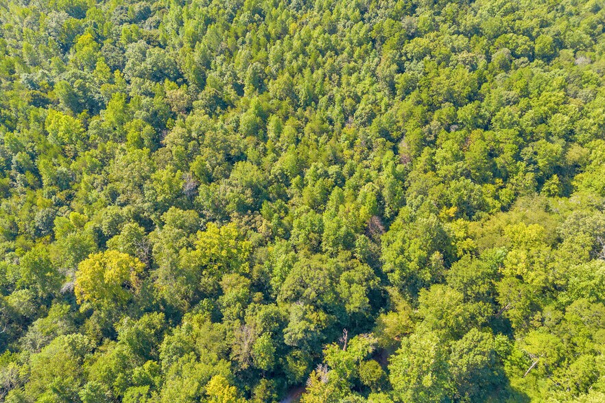 More Photos Of 8 Fornoff Dr, Toccoa Land For Sale