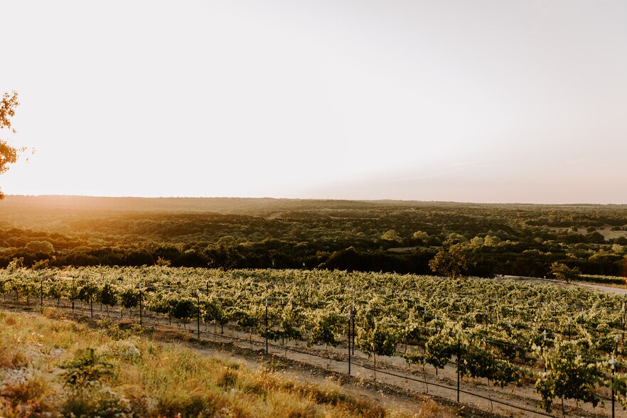 More Photos Of 6000 Tucker Dr, Weatherford Winery Vineyard For Sale