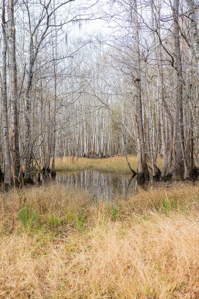 More Photos Of 409 Windward Ave, Orangeburg Land For Sale