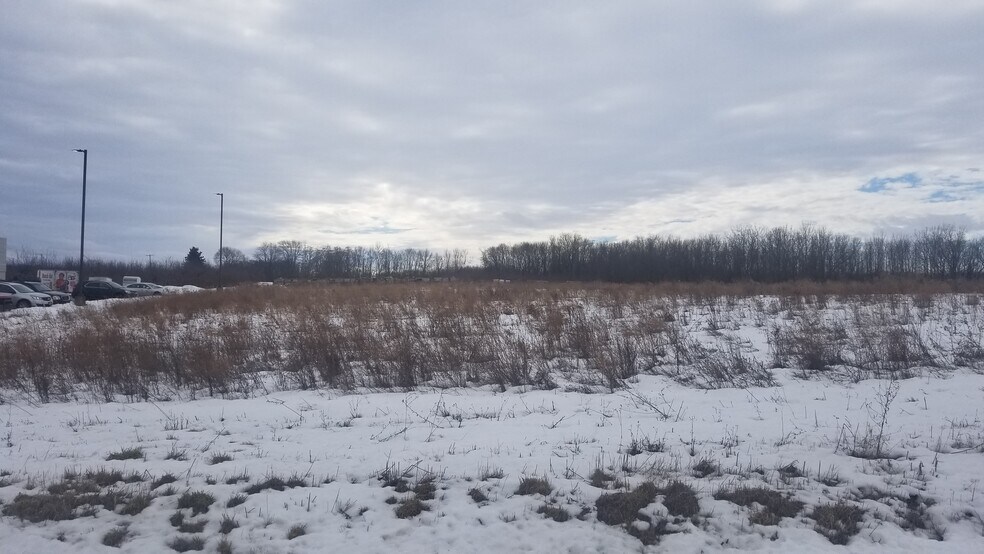 More Photos Of 1029 Route 5 & 20, Geneva Land For Sale
