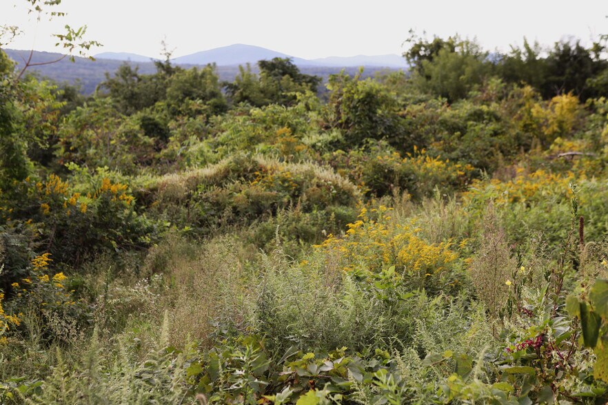 More Photos Of 3050 US-209, Kingston Lodge Meeting Hall For Sale