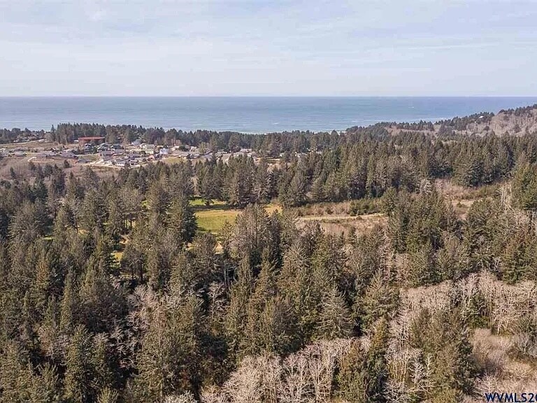 More Photos Of 0 NE Devil's Lake Blvd, Lincoln City Land For Sale