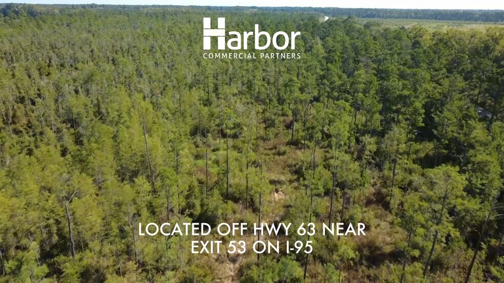 Primary Photo Of 0 Cane Branch Rd, Walterboro Land For Sale