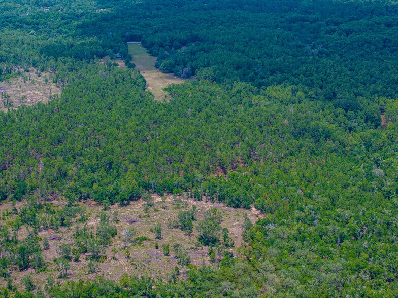 More Photos Of 1650 Withlacoochee Trl, Dunnellon Land For Sale