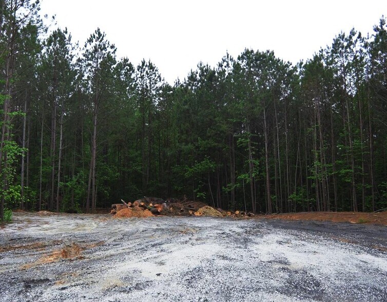 More Photos Of 2680 River Rd, Ellenwood Land For Sale