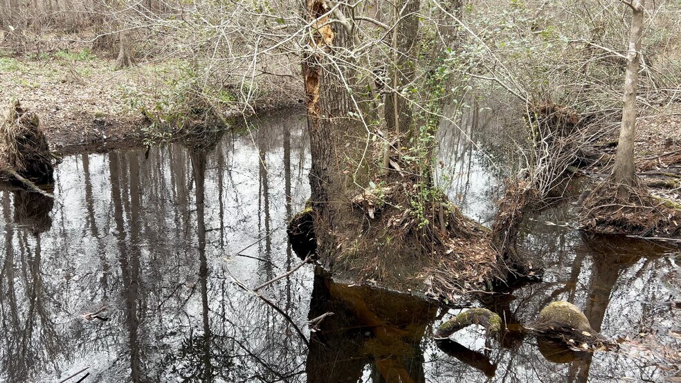 Primary Photo Of Victoria Blvd, Winnabow Land For Sale