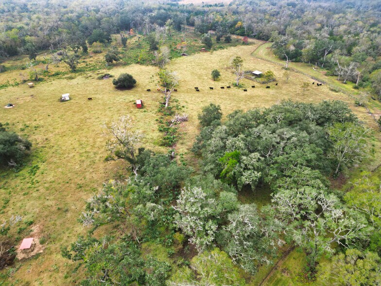 More Photos Of 3559 FM 521 Rd, Brazoria Specialty For Sale
