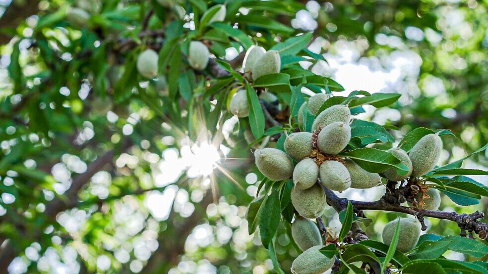 More Photos Of Oakland @ Lassen Avenue, Five Points Land For Sale