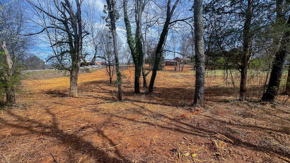 More Photos Of 11211 Chapman Hwy, Seymour Land For Sale