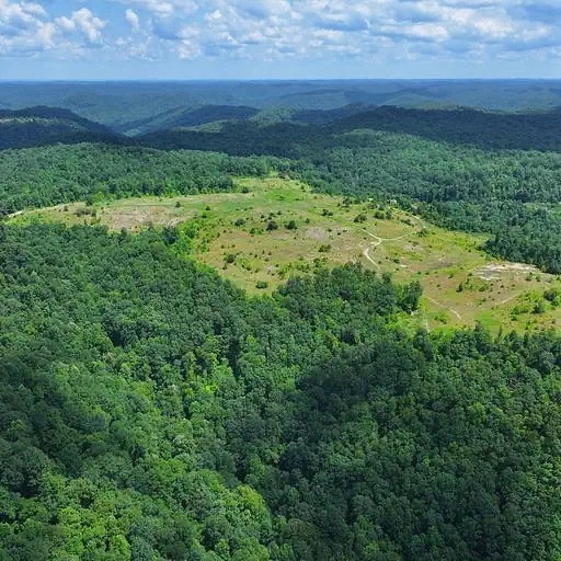 Primary Photo Of Highway 80, Clayhole Land For Sale