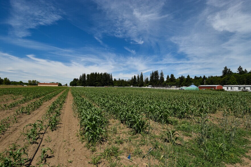 More Photos Of 302 93rd Ave SE, Olympia Land For Sale