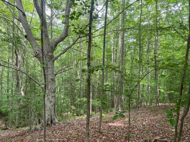 More Photos Of 7585 Mason Springs Rd, La Plata Land For Sale