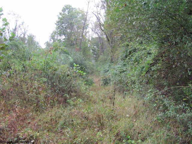 Primary Photo Of Rosedale Hill, Morgantown Land For Sale
