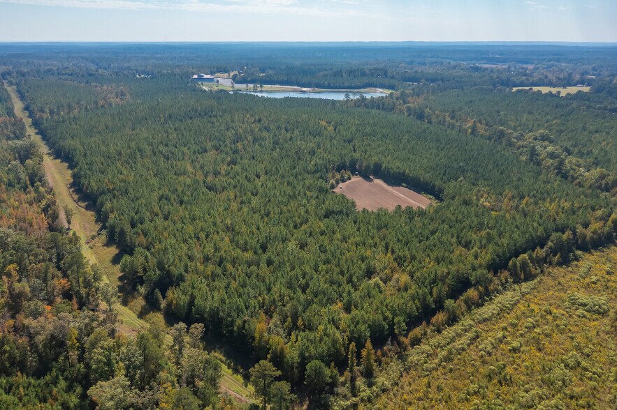 More Photos Of 18618 Hwy 43, Linden Land For Sale