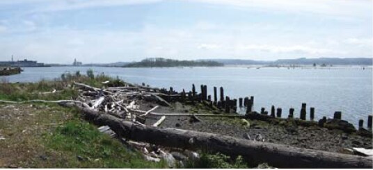 More Photos Of 815 8th St, Hoquiam Land For Sale