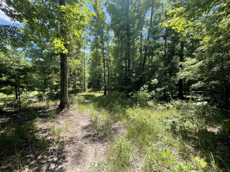 More Photos Of Raspberry Street & 69 hwy, Gallion Land For Sale