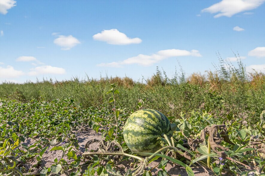 More Photos Of 8476 Ten Mile Grade, Zolfo Springs Land For Sale