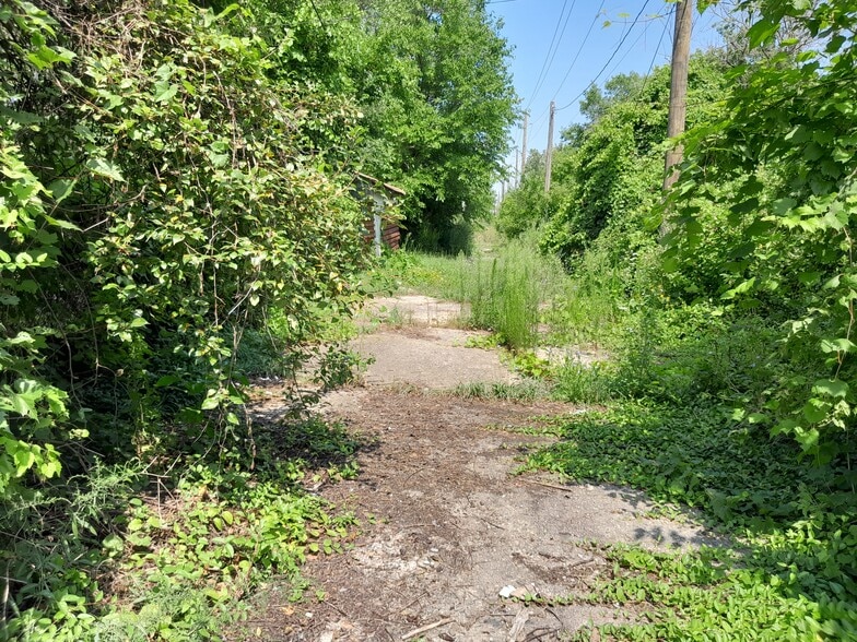 More Photos Of 534 Bellevue St, Detroit Land For Sale