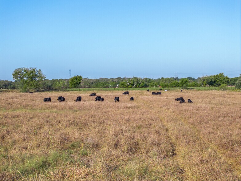 More Photos Of TX 80, Martindale Land For Sale