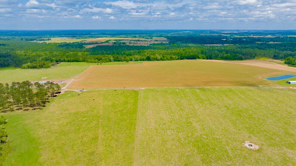 More Photos Of 24795 Hwy 32, Elberta Land For Sale