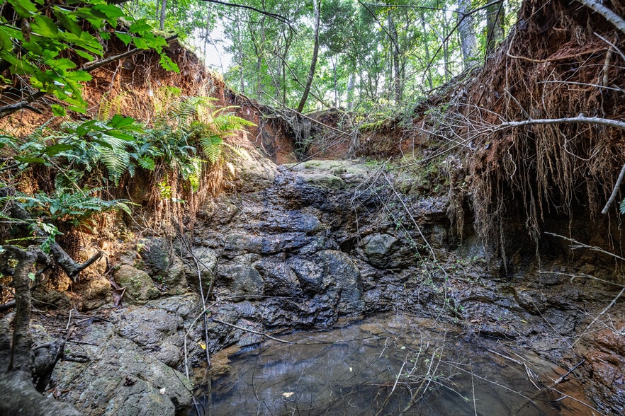 More Photos Of 600 Roselake Dr, Nacogdoches Land For Sale