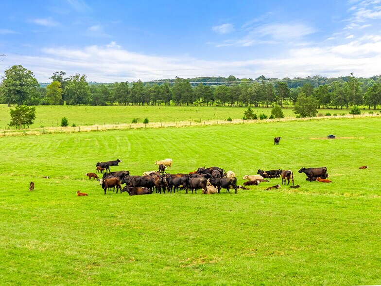 More Photos Of 5474 Woodside Ln, Bealeton Land For Sale