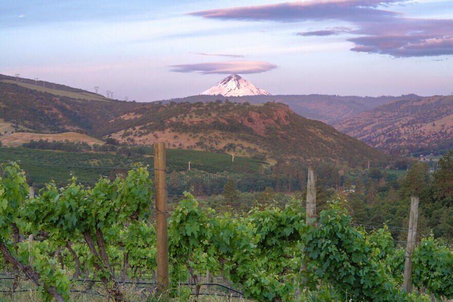 More Photos Of 5450 Mill Creek Rd, The Dalles Land For Sale