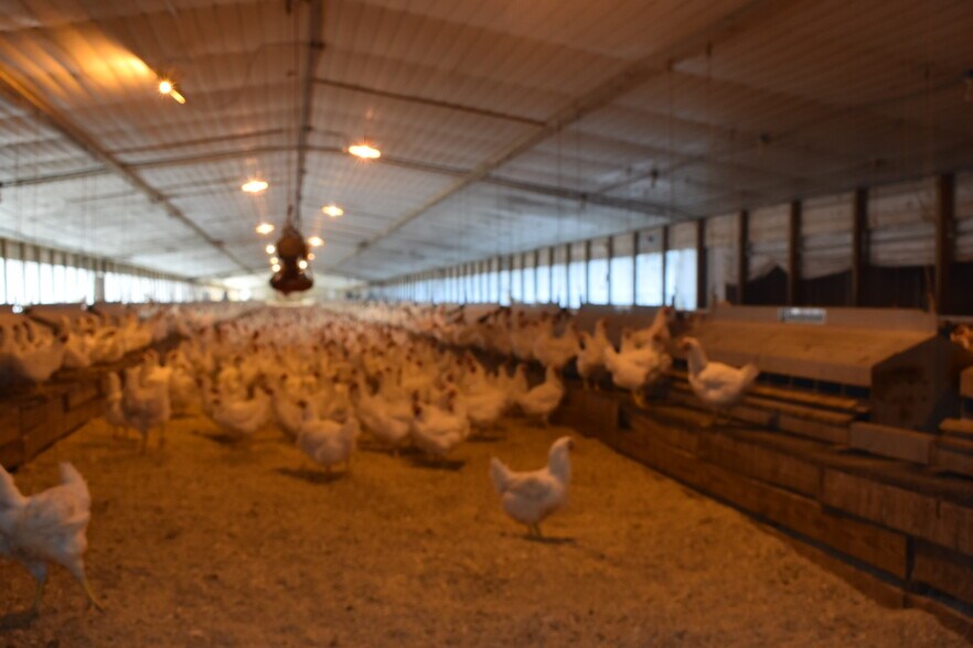 More Photos Of 441 Weaver Rd, Moultrie Land For Sale