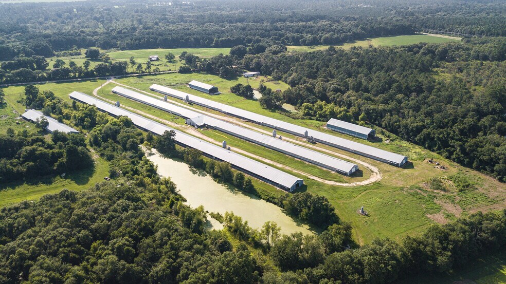 More Photos Of 1291 Myron Hart Rd, Coolidge Land For Sale